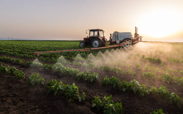 Best Pest Control for Homes  in Dunlap, IN