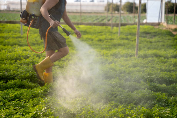 Best Exterminator Services  in Dunlap, IN
