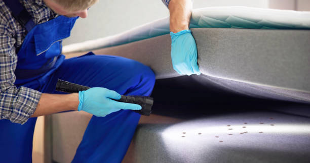 Best Affordable Pest Control Services  in Dunlap, IN