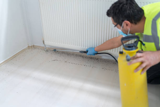 Best Affordable Exterminators  in Dunlap, IN